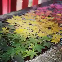 白山神社の手水舎