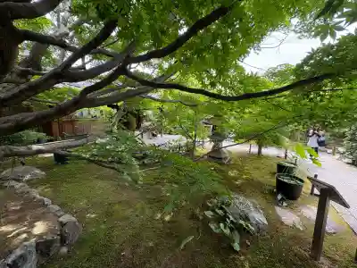 勝林寺(京都府)