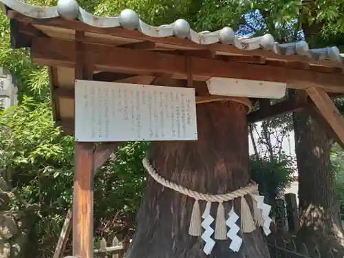 住吉神社の自然
