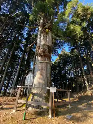 身延山奥之院思親閣(山梨県)