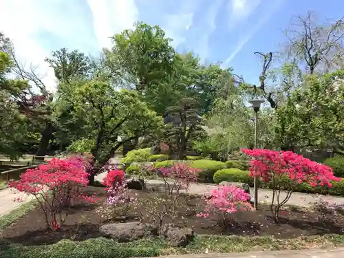 観泉寺の庭園