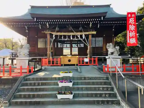 朝日氷川神社の本殿