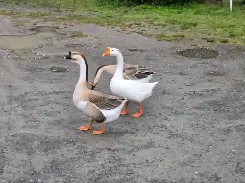 愛染院(和歌山県)