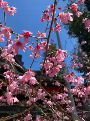 山倉大神の{uncategorized: "未分類", other: "その他", undefined: "問題あり", building: "その他建物", grave: "お墓", sacred_gate: "鳥居", guardian: "狛犬", statue: "像", buddha: "仏像", history: "歴史", nature: "自然", garden: "庭園", animal: "動物", pagoda: "塔", temizu: "手水舎", mountain_gate: "山門・神門", sanctuary: "本殿・本堂", subordinate: "末社・摂社", art: "芸術", scenery: "景色", jizo: "地蔵", ema: "絵馬", goshuin: "御朱印", omikuji: "おみくじ", items: "授与品その他", amulet: "お守り", goshuincho: "御朱印帳", eats: "食事", festival: "お祭り", votive_dance: "神楽", shichigosan: "七五三参", wedding: "結婚式", experience: "体験その他", initially: "初詣", around: "周辺", anti_infection: "感染症対策"}