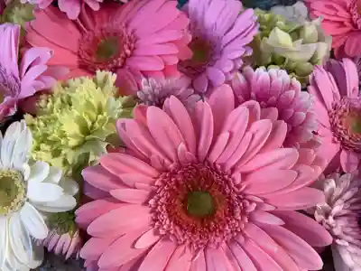 白山神社(新潟県)