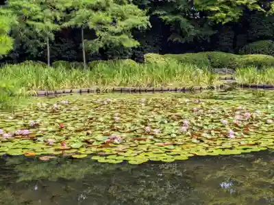 平安神宮(京都府)