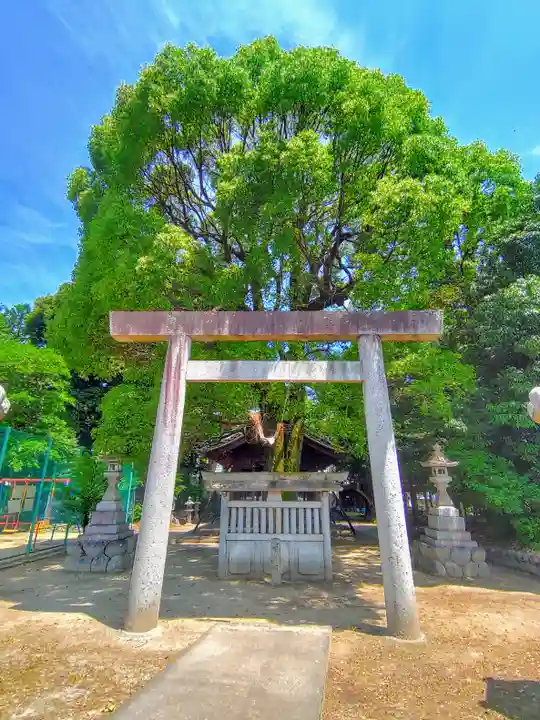 十二所神社(光明寺大条戸)の鳥居