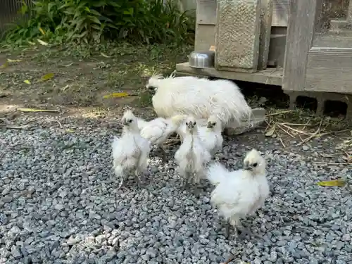 高屋敷稲荷神社(福島県)