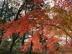 須山浅間神社の自然