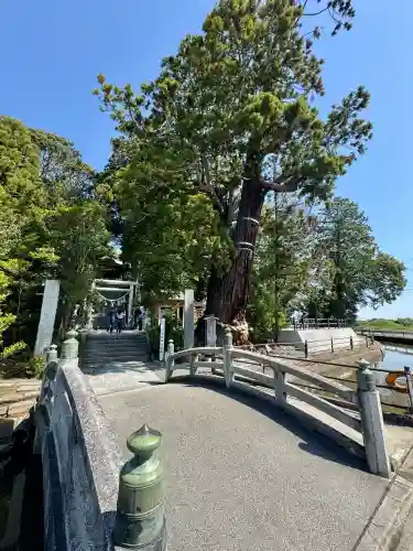 大國魂神社の{uncategorized: "未分類", other: "その他", undefined: "問題あり", building: "その他建物", grave: "お墓", sacred_gate: "鳥居", guardian: "狛犬", statue: "像", buddha: "仏像", history: "歴史", nature: "自然", garden: "庭園", animal: "動物", pagoda: "塔", temizu: "手水舎", mountain_gate: "山門・神門", sanctuary: "本殿・本堂", subordinate: "末社・摂社", art: "芸術", scenery: "景色", jizo: "地蔵", ema: "絵馬", goshuin: "御朱印", omikuji: "おみくじ", items: "授与品その他", amulet: "お守り", goshuincho: "御朱印帳", eats: "食事", festival: "お祭り", votive_dance: "神楽", shichigosan: "七五三参", wedding: "結婚式", experience: "体験その他", initially: "初詣", around: "周辺", anti_infection: "感染症対策"}