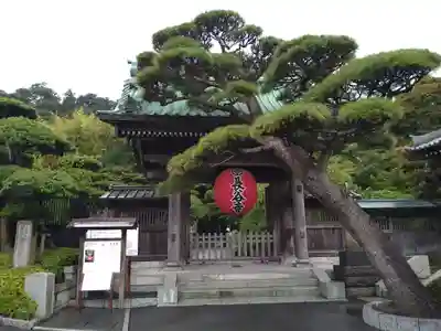 長谷寺の山門・神門