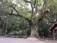 伊勢神宮外宮(豊受大神宮)(三重県)