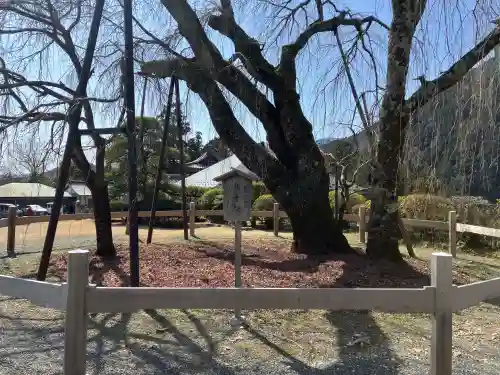 久遠寺の{uncategorized: "未分類", other: "その他", undefined: "問題あり", building: "その他建物", grave: "お墓", sacred_gate: "鳥居", guardian: "狛犬", statue: "像", buddha: "仏像", history: "歴史", nature: "自然", garden: "庭園", animal: "動物", pagoda: "塔", temizu: "手水舎", mountain_gate: "山門・神門", sanctuary: "本殿・本堂", subordinate: "末社・摂社", art: "芸術", scenery: "景色", jizo: "地蔵", ema: "絵馬", goshuin: "御朱印", omikuji: "おみくじ", items: "授与品その他", amulet: "お守り", goshuincho: "御朱印帳", eats: "食事", festival: "お祭り", votive_dance: "神楽", shichigosan: "七五三参", wedding: "結婚式", experience: "体験その他", initially: "初詣", around: "周辺", anti_infection: "感染症対策"}