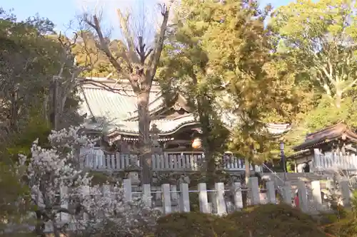 筑波山神社のその他建物