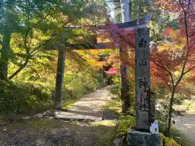 白山神社(滋賀県)