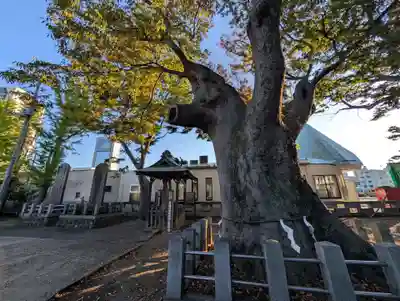 阿邪訶根神社(福島県)