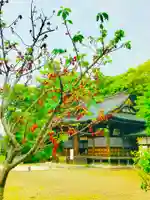 女化神社の本殿・本堂