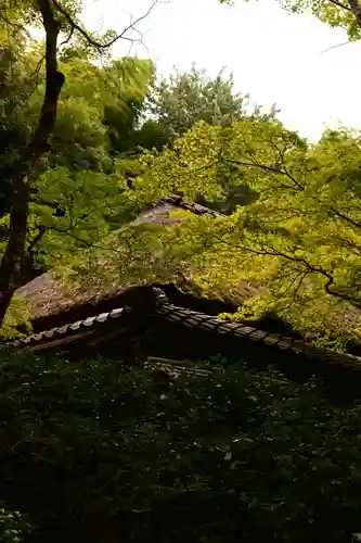 祇王寺(京都府)