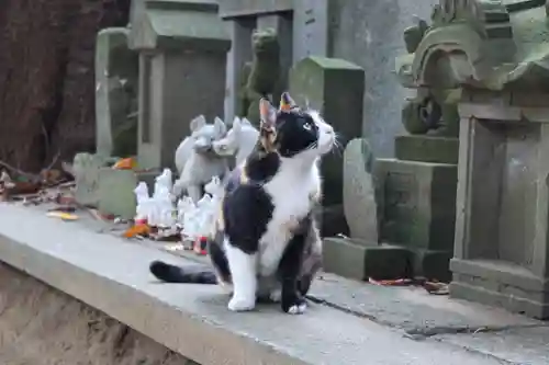 柏諏訪神社(千葉県)