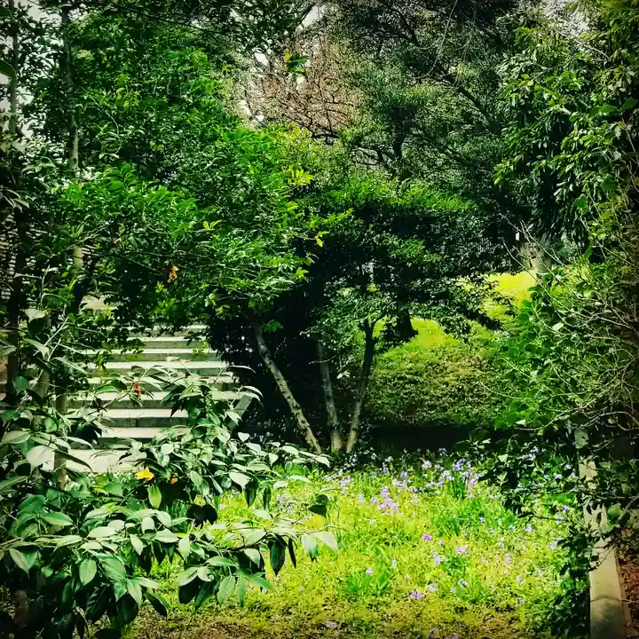 湯島聖堂の庭園
