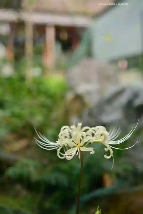 宝城坊(神奈川県)