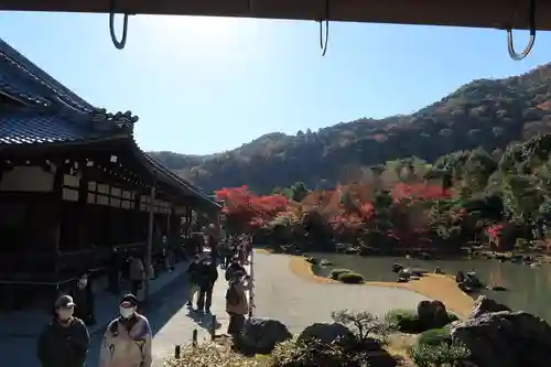 天龍寺の庭園