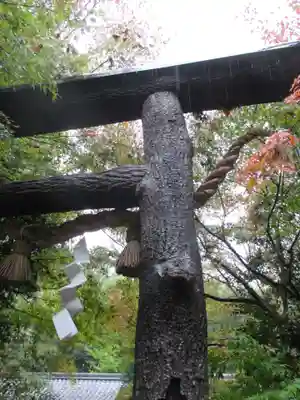 野宮神社のその他建物