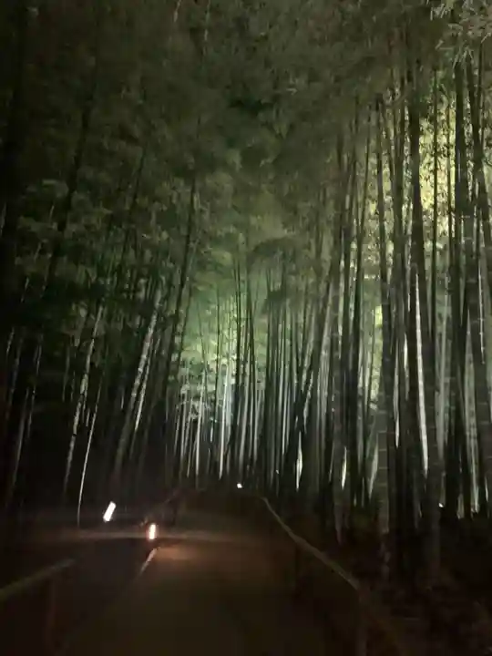 高台寺(高台寿聖禅寺・高臺寺)の景色