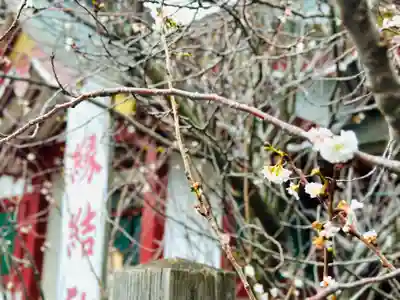 氣比神宮(福井県)