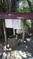 秋葉神社の手水