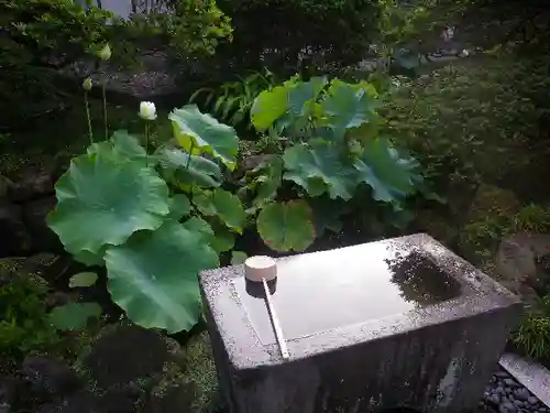 安養院　(田代寺）の手水舎
