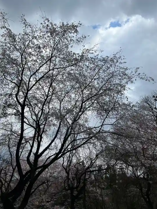 大宮温泉神社(栃木県)
