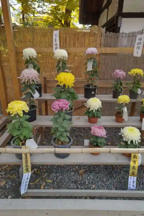 諏訪大社下社秋宮(長野県)