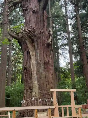 巖鬼山神社(青森県)