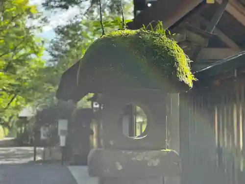 天岩戸神社(宮崎県)
