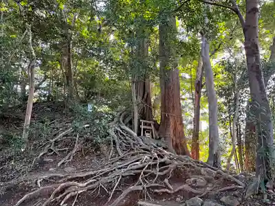 事任八幡宮のその他建物