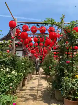 おふさ観音（観音寺）(奈良県)