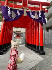 豊竹稲荷神社(開口神社摂社)(大阪府)