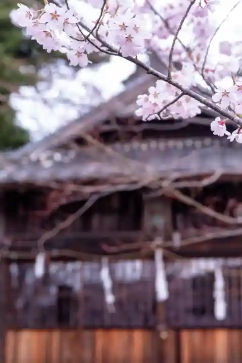 新城藤原神社(長野県)