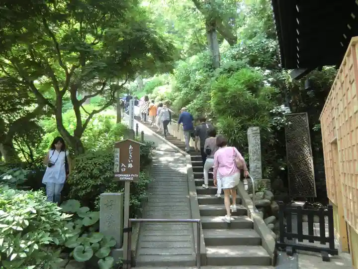 長谷寺(神奈川県)