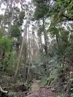 佐室浅野神社の自然