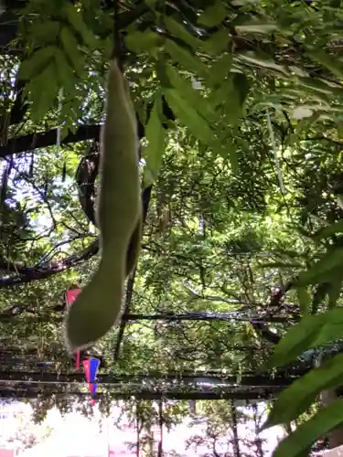 國領神社(東京都)