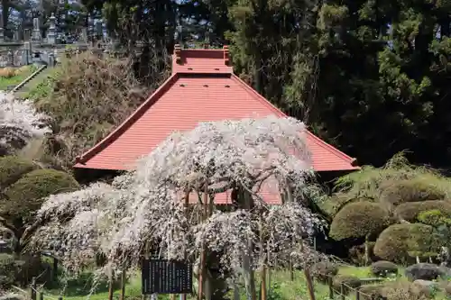 無量寺の本殿・本堂