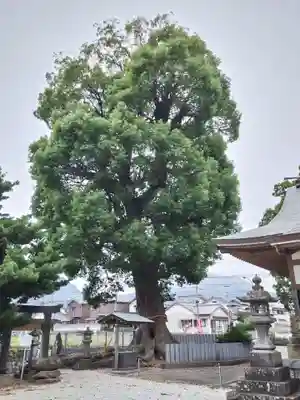 三会温泉神社の自然