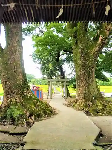 溝口竃門神社の鳥居