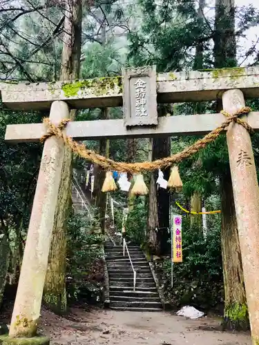 金持神社の鳥居