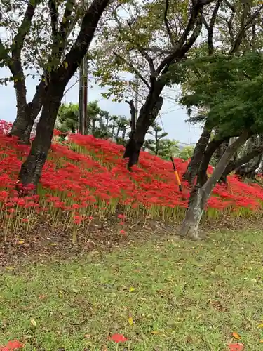 津島神社の周辺