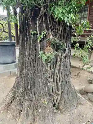 正徳寺(東京都)