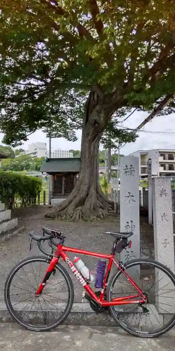 楠木神社(大阪府)