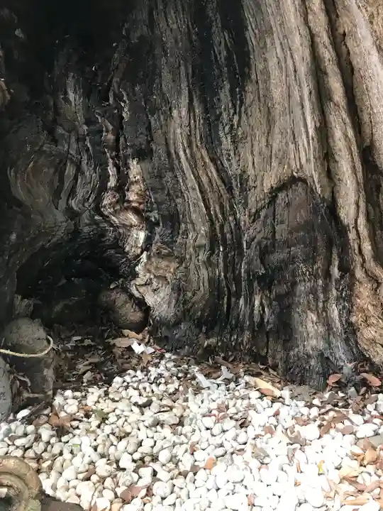 生島足島神社の自然